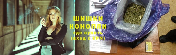 твердый Горнозаводск