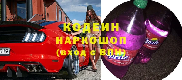 PSILOCYBIN Вяземский